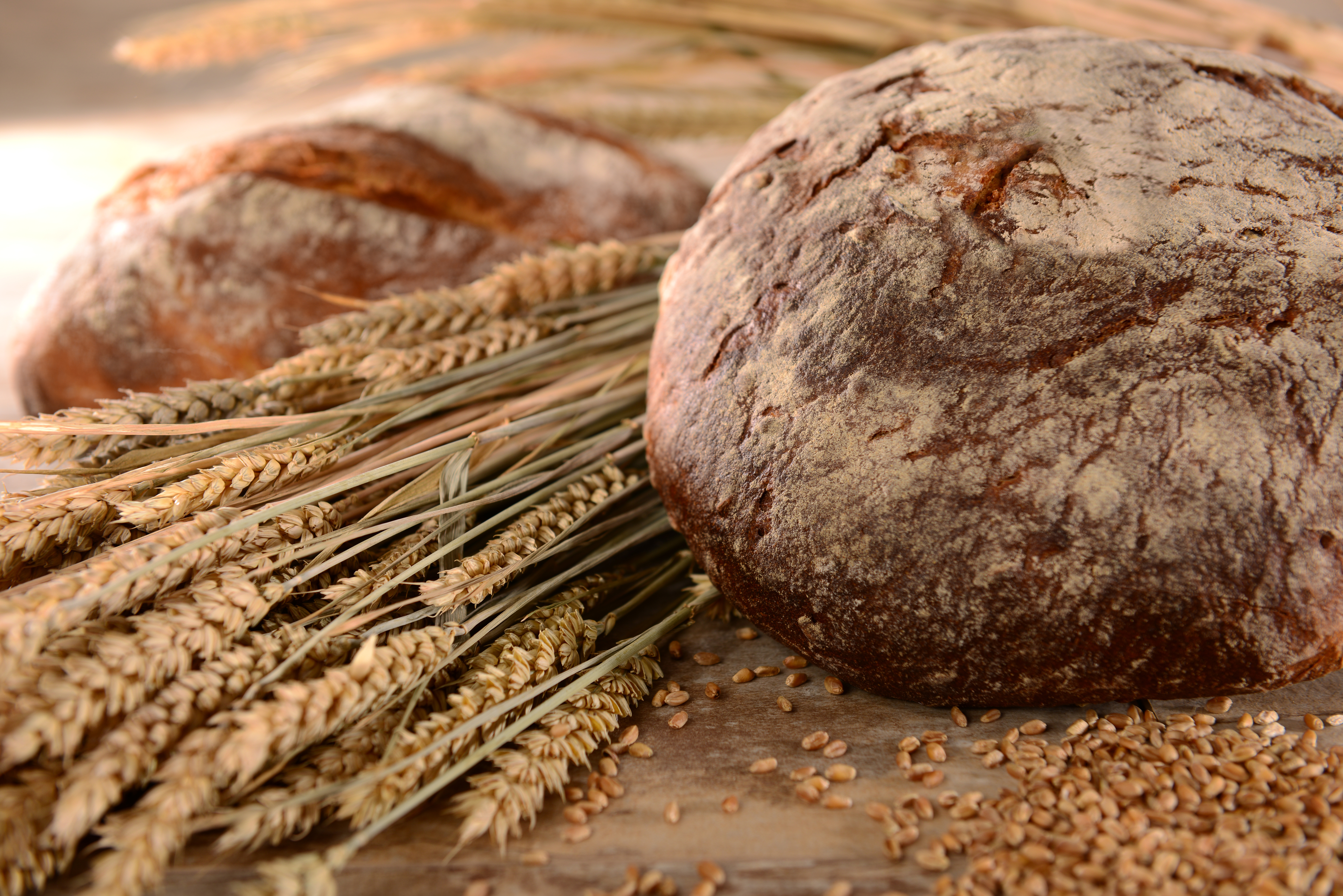 Brot Getreide Brot Getreide